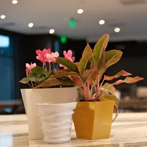 Posie Pot Trio Bundle - Self Watering Planter 3,5,7 Inch - Set of 3 - Indoor Plant Pot with Water Once A Month - 3D Printed Bioplastic - No Guilt Plant Care - Made in USA, Starter Kit