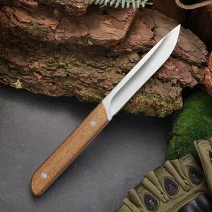 Stainless Steel Thickened Fruit Knife, Portable Wooden Handle Fruit Knife, Household Sharp Peeler, Outdoor Barbecue Handheld Meat Straight Knife