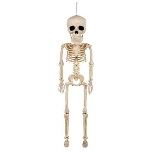 38" Super Skull Skeleton Decoration