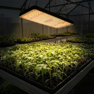 Indoor Growing Plant Lamp, Hanging Full Spectrum LED Grow Light for Indoor Plants, Ideal for Veg to Bloom Stage, Perfect for Home Garden, Grow Tent & Greenhouse, Easy to Hang with Chain, Durable Plant Lamp, Let Plants Grow Vigorously, Hanging Design