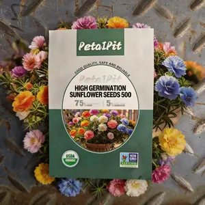 【 PetalPit】500 Multicolored Sunflower Seeds  Planting Ornaments Perennial Garden Simple to Grow Pots Gifts