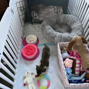 Plastic Pet Playpen, Durable Puppy Playpen with Lockable Door and Non-Slip Bottom, Portable Indoor Outdoor Puppy Pen