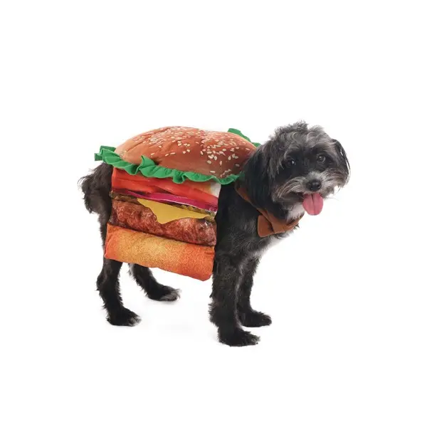 Hamburger Pet Dog Costume
