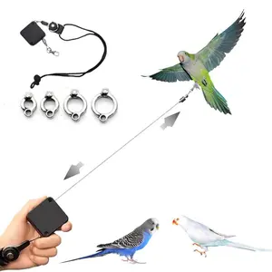 Bird Training Leash, 1 Set Retractable Bird Flying Rope, Lightweight Training Rope, Outdoor Bird Walking Rope, Suitable for Various Birds