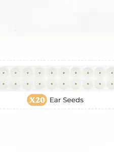 100pcs Ear Acupuncture Points Decorative Transparent Adhesive Patches, Non-Sensitive Skin-Friendly Design, Ideal for Pain Relief & Healing, Decoration