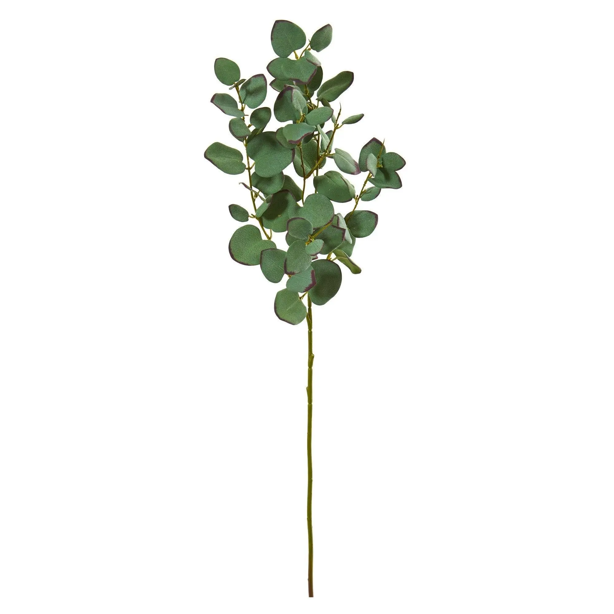 6-Piece 34in Synthetic Eucalyptus Leaf Branch Set with 10in Accents, Set Packaging - Fake Indoor Plant Decor, Decorative Flowers, Natural Foliage, Realistic Leaves, All-Season Home Supplies, Botanical Arrangement Kits