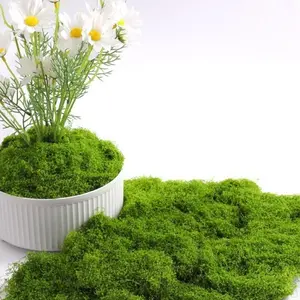 Forest-themed synthetic moss green DIY material pack for home gardening, art, wall decoration, Easter table centerpiece, wedding banquet, store, flower shop, soft furnishing, decorative item