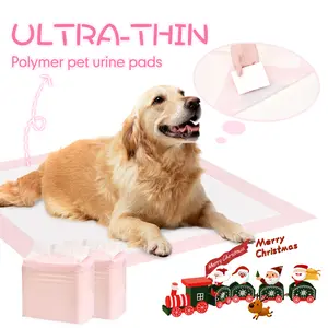 DCT Ultra-Thin 100 Count Quick-Dry Leak-Proof 23" x 23" Super Absorbent Pet Urine Pads for Small & Medium Dogs Unscented Non-Woven Fabric Tissue