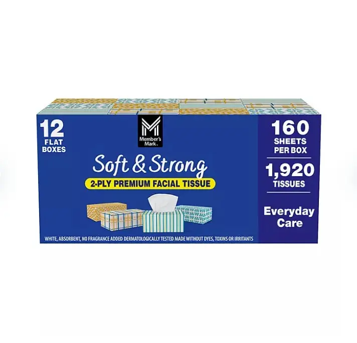 Soft & Strong 2-Ply Premium Facial Tissues 12 Flat Boxes, 160 tissues/box