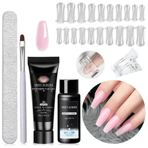Extension Nail Gel Set, 1 Set Quick Extended Hard Gel Nail Polish for Home DIY French Manicure Extend Nail Kit, Nail Art & Nail Polish, Nail Care Solution
