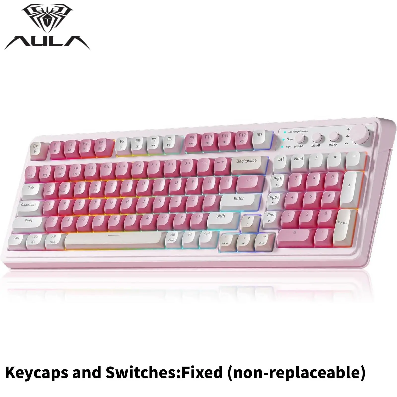 Pink(Christmas gift)
