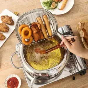 Sus304 Stainless Steel Tempura Fryer Pot, Adjustable Temperature Control, Mini Electric Stove, Outdoor Camping Use, Japanese Style Kitchen Tool, Tempura Frying Pot