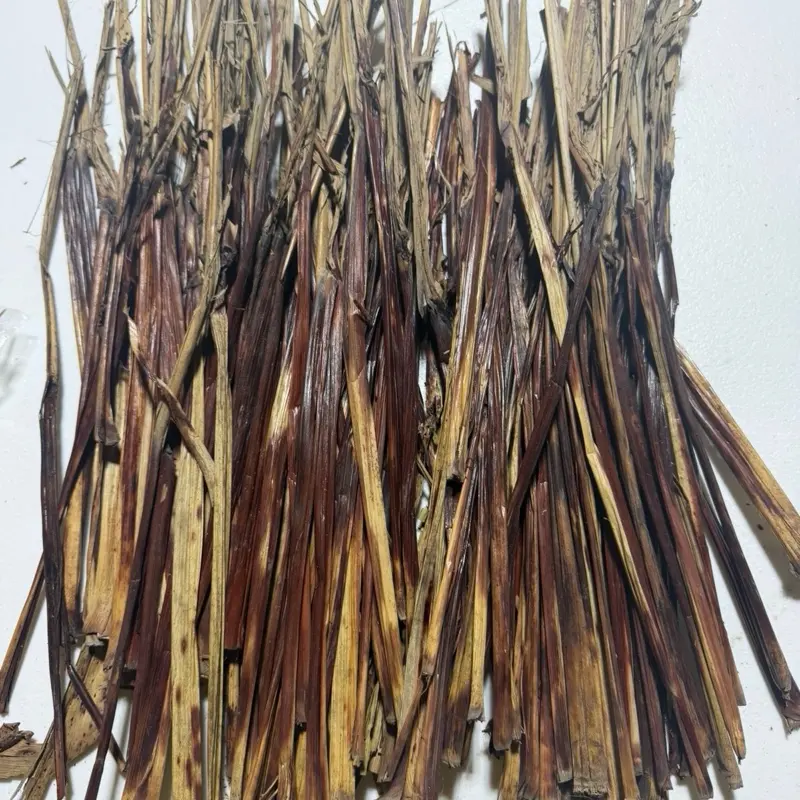 Waakye leaves