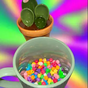 Kandii Scoop: Festival Essentials