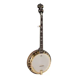 Washburn B17 Americana 5-String Banjo (Tobacco Sunburst) *USA Small Business*