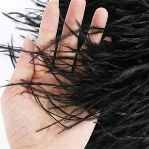 SyingFeather - 2 Yards (5–6 Inches) of Multi-Colored Ostrich Feather Fringe Trim (8–10 cm Wide) - Ideal Material for DIY Clothing, Hair Accessories, Dresses, Skirt Hems, Cuffs, Crafts, and Garment Decoration