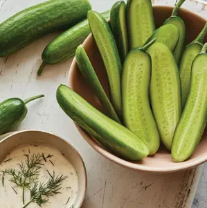 Non-GMO Mini Cucumber Seeds - Beginner-Friendly, Tasty, Low-Maintenance Fruit, Naturally Grown, Easy-to-Grow, Balcony-Safe for Garden, Container Planting