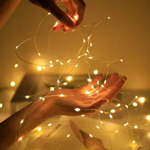 Warm White & Pink LED String Lights - Perfect for DIY, Parties, and Home Decor charm