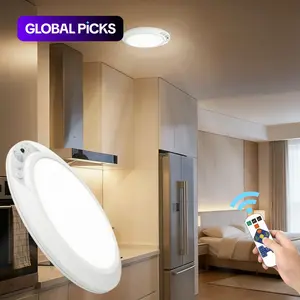 Smart Motion Sensor Ceiling Light, Indoor Lighting, Infrared Remote Control, Wireless, Automatic Dimming, Timer Switch, Color Temperature Adjustable, Type-C Charging