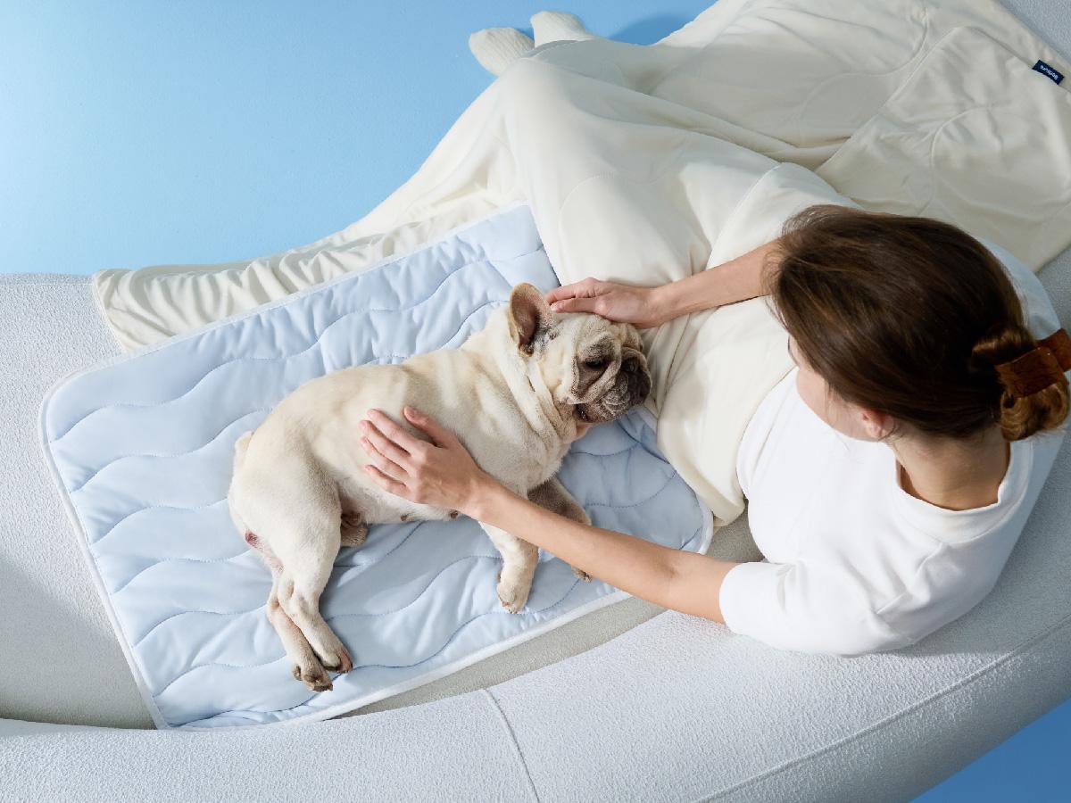 Bedsure Cooling Thin & Thick Mat for Dogs – Q-MAX>0.4 Washable Pet Cooling Pad, No Gel, No Electric, Non-Slip Summer Crate Bed for Large Dogs Bedsure Cooling Thin & Thick Mat for Dogs – Q-MAX>0.4 Washable Pet Cooling Pad, No Gel, No Electric, Non-Slip Summer Crate Bed for Large Dogs