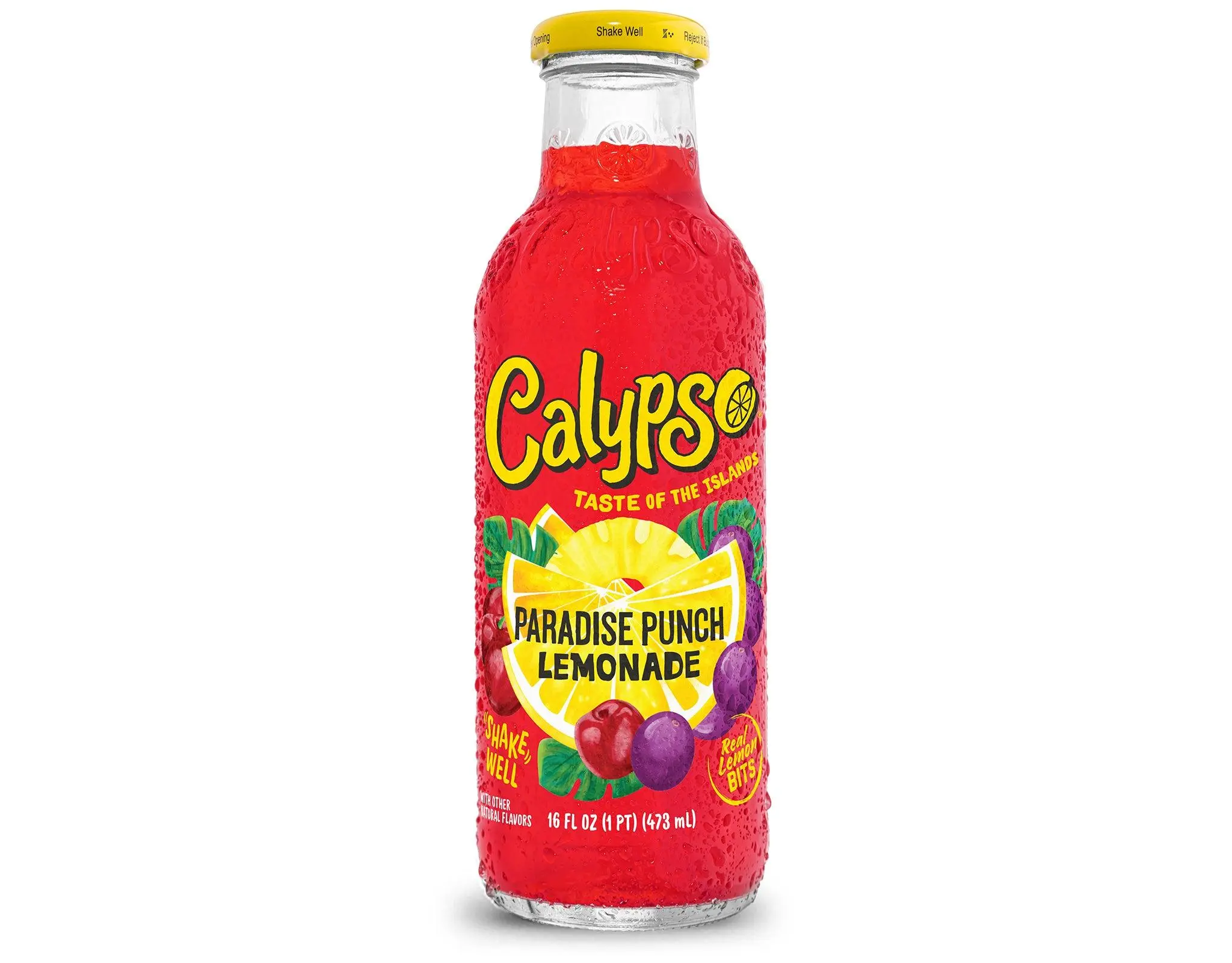 Calypso Lemonade, Paradise Punch, 16oz (Pack of 12) Calypso Lemonade, Paradise Punch, 16oz (Pack of 12)