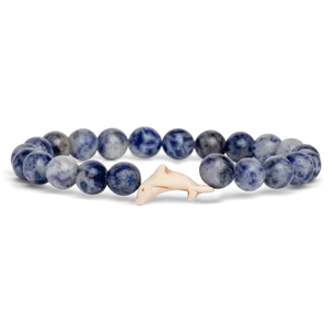 Fahlo Odyssey Dolphin Tracking Bracelet (Coastal Blue)