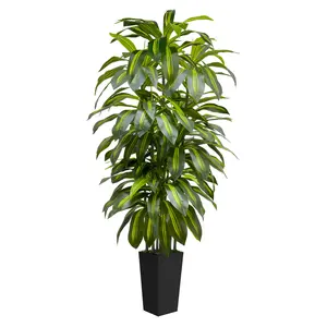 6FT 5FT Artificial Dracaena Tree – Tall Faux Indoor Plant with Black or White Planter – Large Fake Floor Plants for Living Room Bedroom Office Home Decor