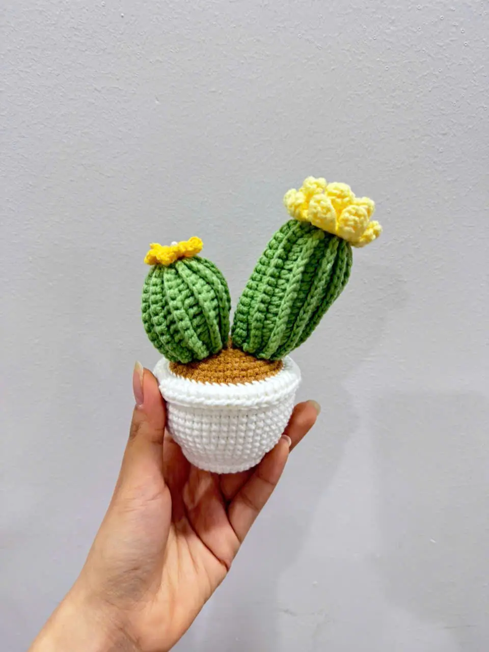 Crochet Cactus Plant Plush, Handmade Flowering Succulent Amigurumi, Cute Desk Decor Gift for Plant Lover