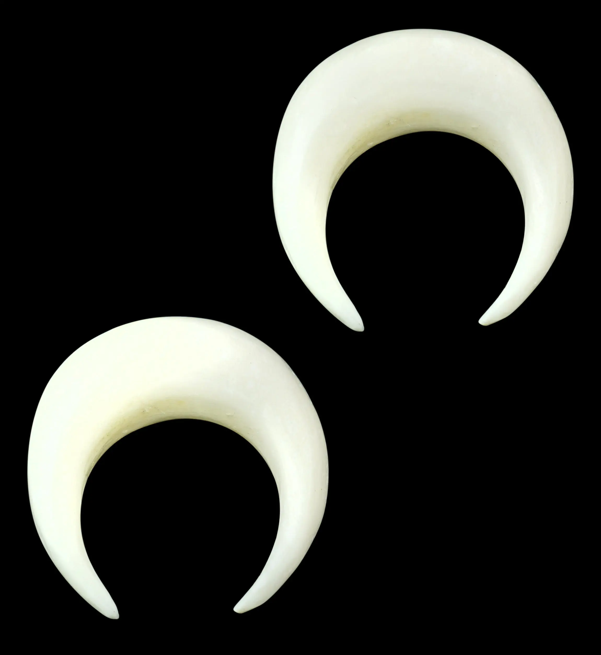 Solid Bone Pinchers