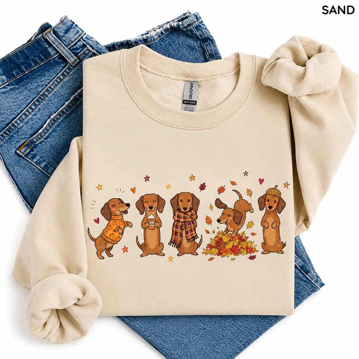Fall Dachshund Sweatshirt Doodle Crew Cute Wiener Dog, Cozy Autumn Dog Mom, Doxie Dog Owner Shirt