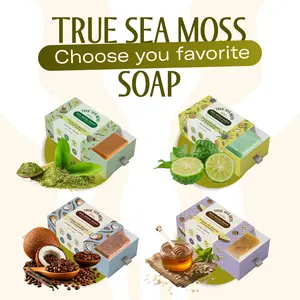 Handcrafted Sea Moss Natural Soap – 4 Variations – Nourishes & Moisturizes Skin, Gently Cleanses, Soothes Dryness, Enhances Glow – Coffee Vanilla Coconut, Oatmeal Honey, Aloe Bergamot, Green Tea Matcha