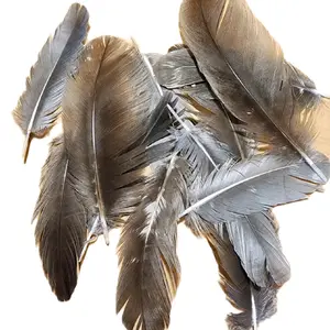 Grey and Brown Variety turkey feathers pack of 15 Decor