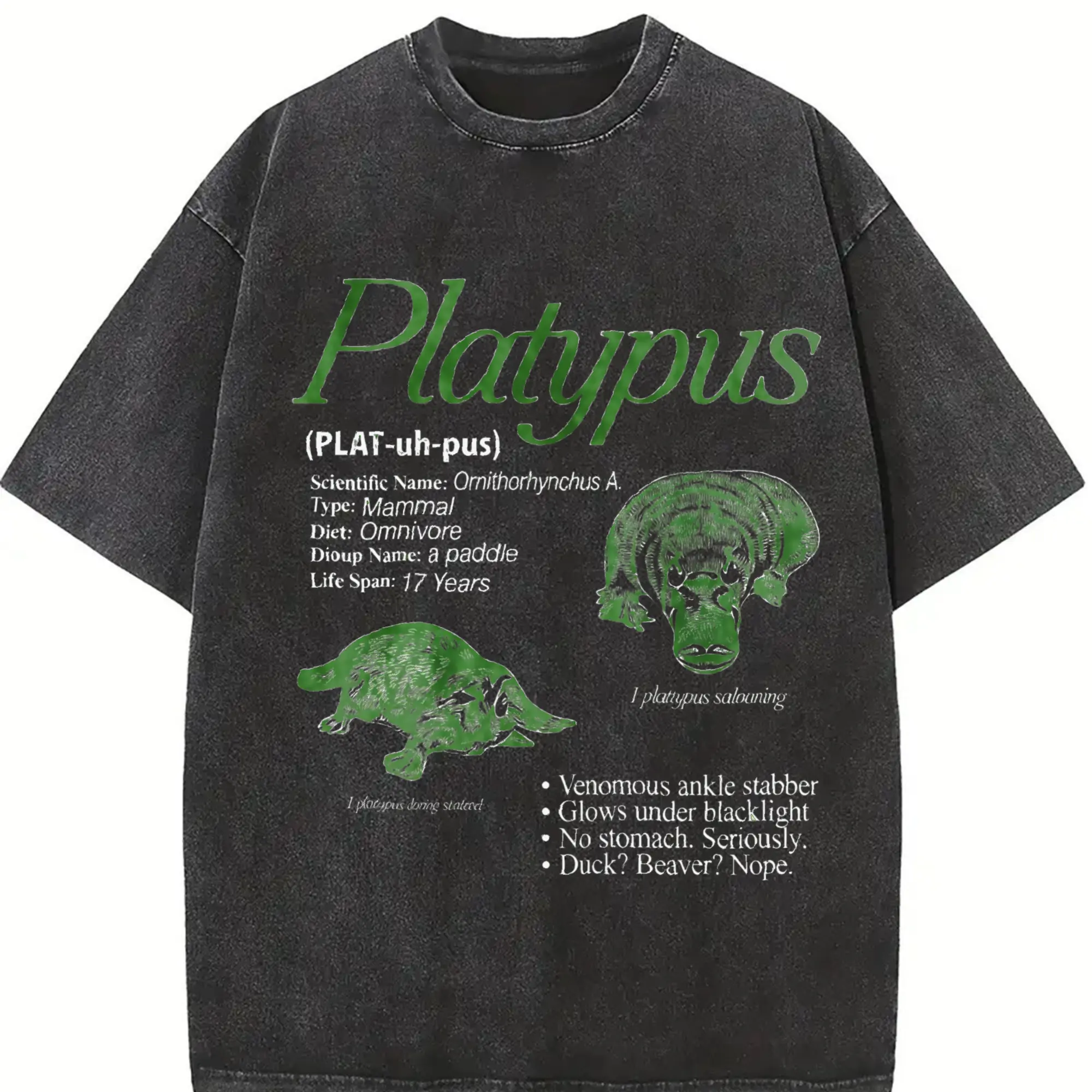 Platypus Vintage 90s Graphic T-Shirt, Retro Animal Infographic Facts Tee, Funny Biology Shirt, Unique Mammal Gift, Nature Science Unisex Top