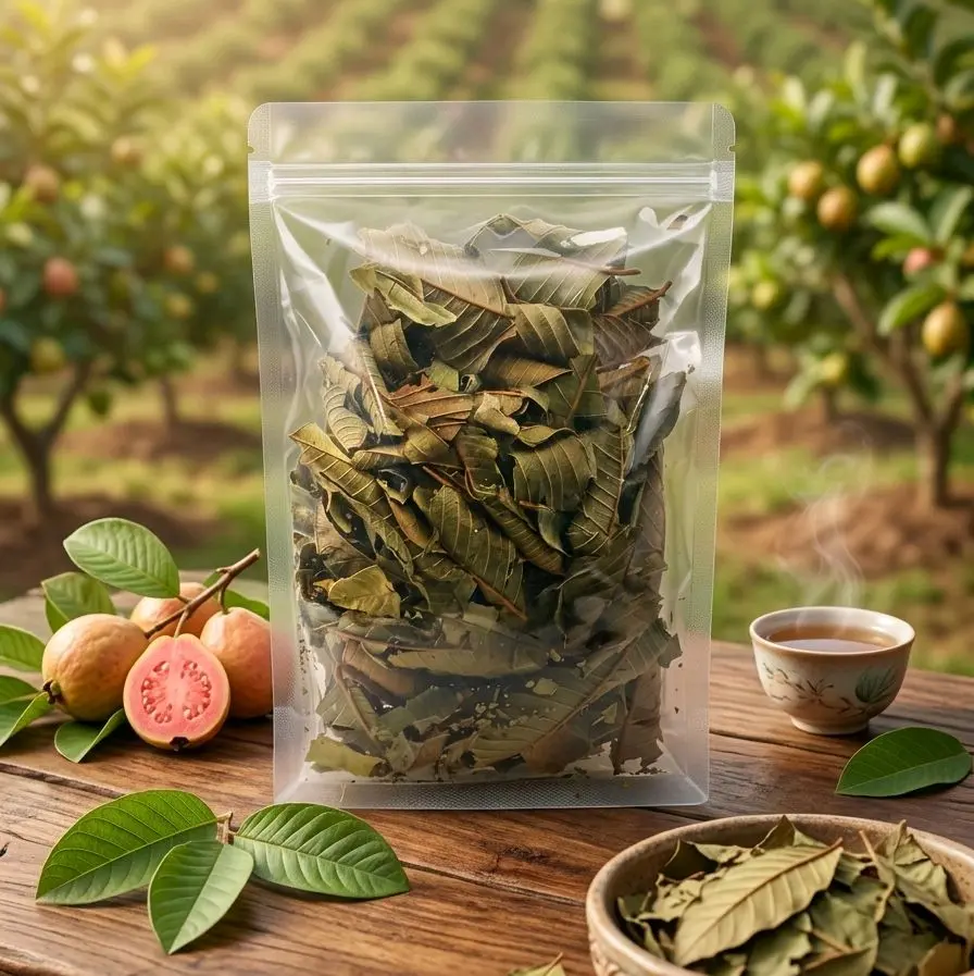 fey goav-guava dried leaves