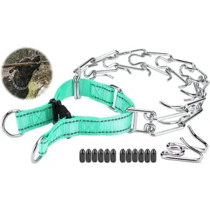 Dog Training Collar with Quick-Release Buckle, Adjustable Stainless Steel Collar for Small Medium Large Dogs (Teal, S Neck Girth 11.2"-14.5")