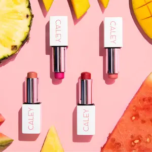 Jet Set Probiotic Multi-Stick Natural Makeup