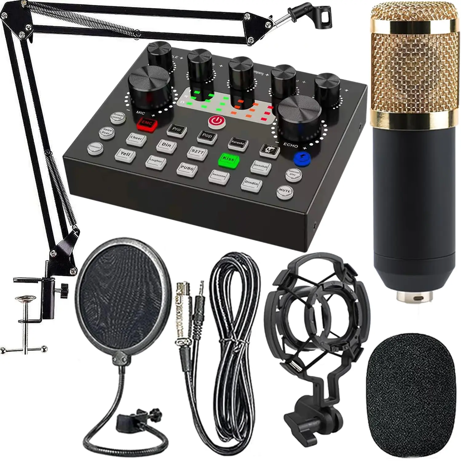 USB Cardioid Condenser Microphone, Portable Handheld Mic for Streaming, Recording, Podcasting, Compatible with PC, Laptop, Pad