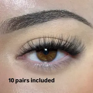 10 Pairs of “Lush” Lash Strips  - Giving a Flirty Cat Eye Style | Full, Dense, & Natural Finish Eyelashes Extensions Cosmetic