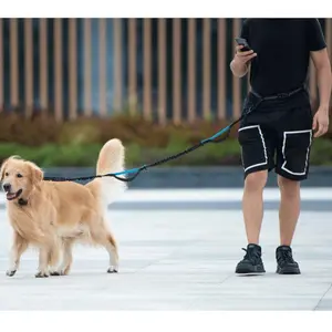 Hands Free Dog Leash with Zipper Pouch | Dual Padded Handles and Durable Bungee for Walking | Jogging and Running Your Dog | Black/Black, Black/Blue, Black/ Green