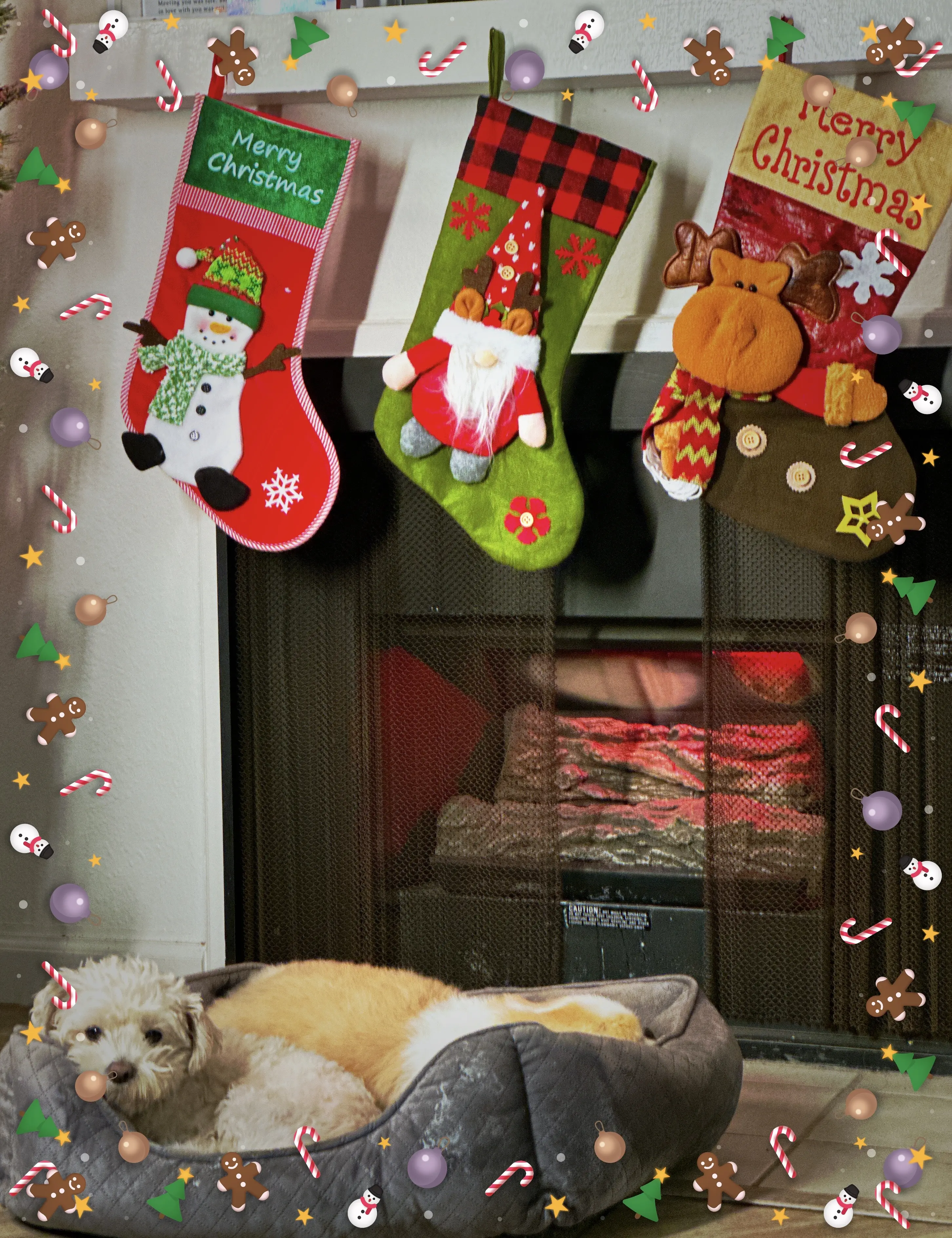 18PCS GIANT CHRISTMAS STOCKINGS! ALL DIFFERENT FESTIVE CHARACTERS! HUGE SIZES! Decor Gift Pack Traditional Tree Colorful Fairy Household Magical Socks