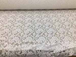 Embroidered Stretch Lace Apparel Fabric Sheer Floral Powder White GG511