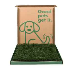 Fresh Patch Large Combo Pack Real Grass & Tray for Pets Up to 30 lbs Eco-Friendly Indoor Potty Training System