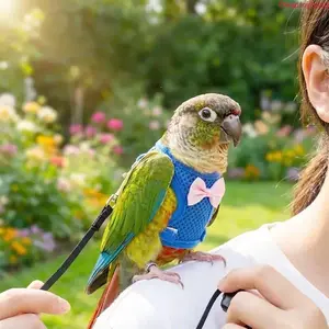 【Summervibes】Parrot Harness Leash Set, Adjustable Bird Flight Vest, Anti-Lost Outdoor Flying Training Rope, Tiger Stripe Safe Walking Strap for Budgie Sun Conure Small Pet Bird Outdoor Activities