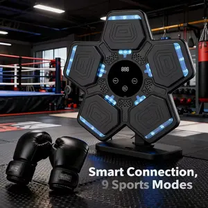 Interactive Music Punching Bag 5 Targets