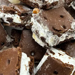 Freeze Dried Ice Cream Sandwiches