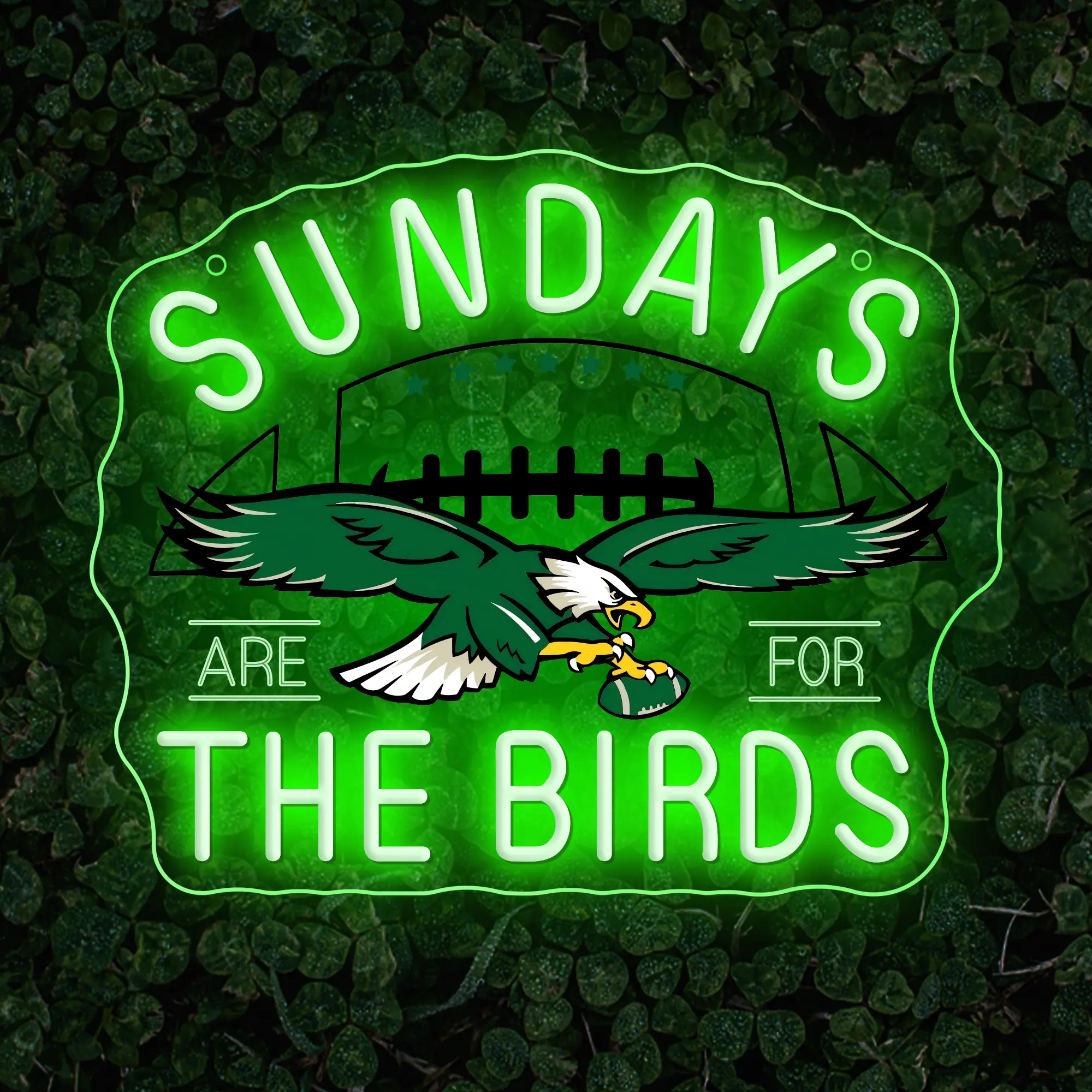 Sundays Are For The Birds Led Neon Sign, Road to Victory Philly decor, Birds Gang Philadelphia Football Gift, Philadelphia Birds Christmas gifts, Neon Light Sign