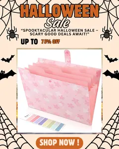 Pink Floral Expanding File Folder with 13 Pockets Accordion Organizer for Receipts & Documents Portable Letter Size Filing School & Office Supplies Premium PP Plastic Lightweight Design cute  school  supplies