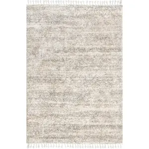 Brooke Shag Tasseled Area Rug