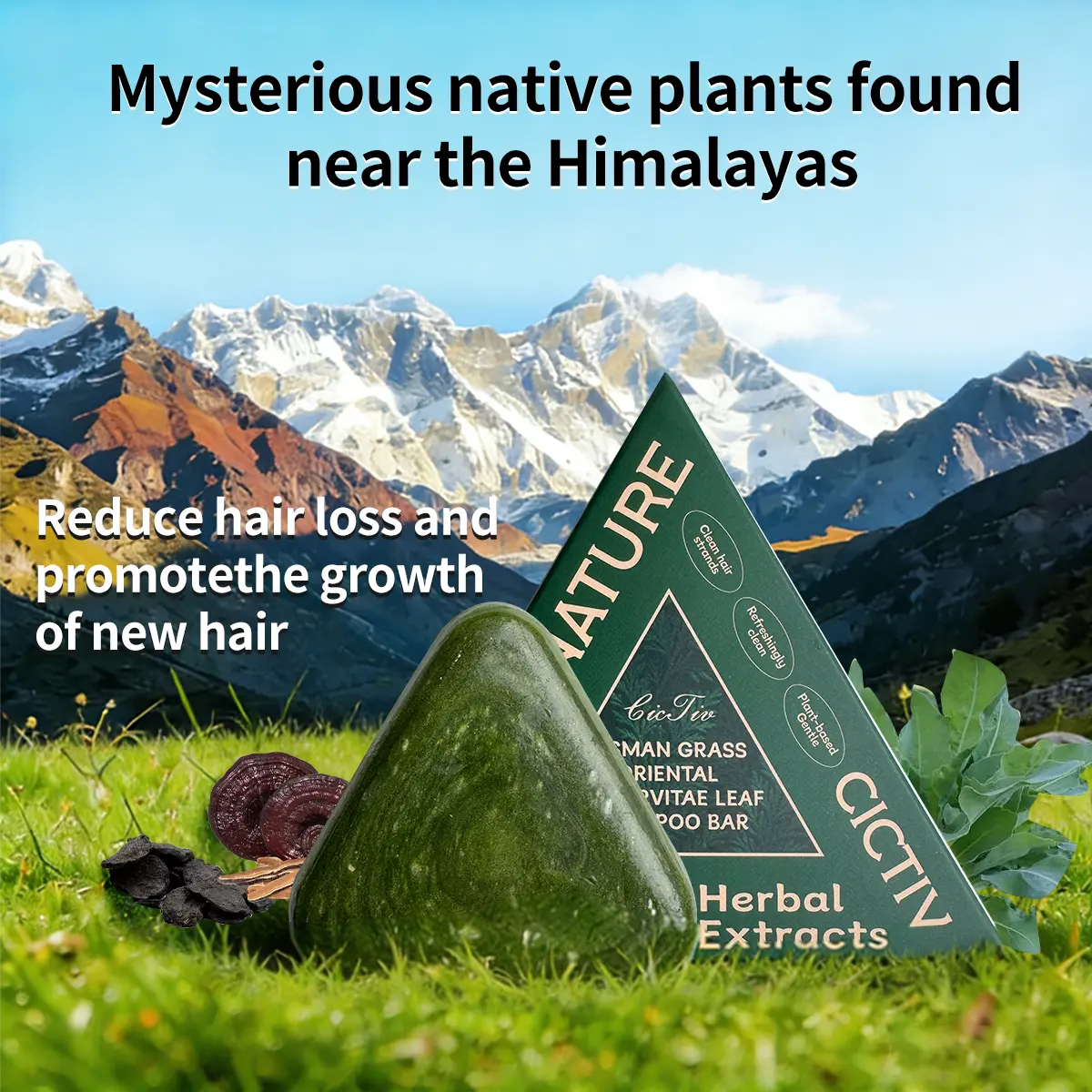 Usman Grass Oriental Arborvitae Leaf Shampoo Bar, Strengthens Roots, Reduces Hair Fall, for Thinning Hair, Anti-Hair Loss, Hair Growth, Oil Control, Dandruff Relief, Repair, Nourish