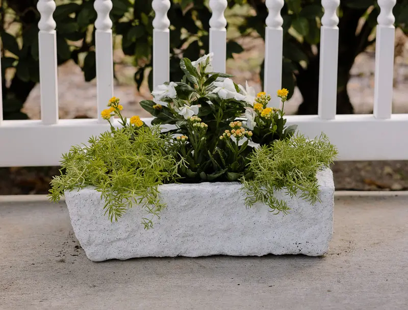 Small Limewash Trough Planter